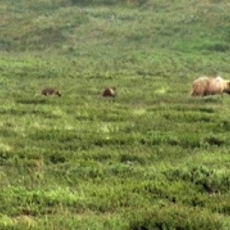 Screen Shot 2016-07-12 at 12.16.26 AM.jpg